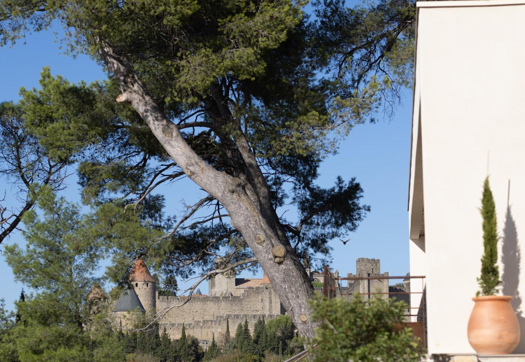 Villa St Francois Piscine Privee Chauffee ,Clim ,Parking Gratuit Carcassonne Exterior photo